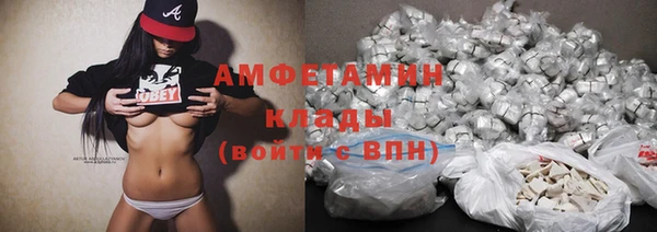 ГАЛЛЮЦИНОГЕННЫЕ ГРИБЫ Абаза