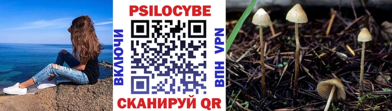 мега ONION  Заринск  Галлюциногенные грибы мухоморы  что такое  