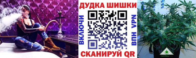 что такое   Заринск  Канабис семена 